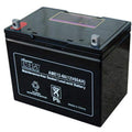6V AGM Battery Pack of 4 V97723