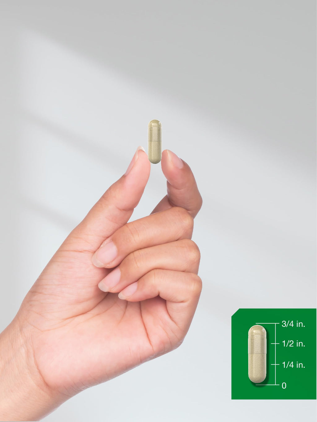 Moringa Oleifera 300 Capsules S57463