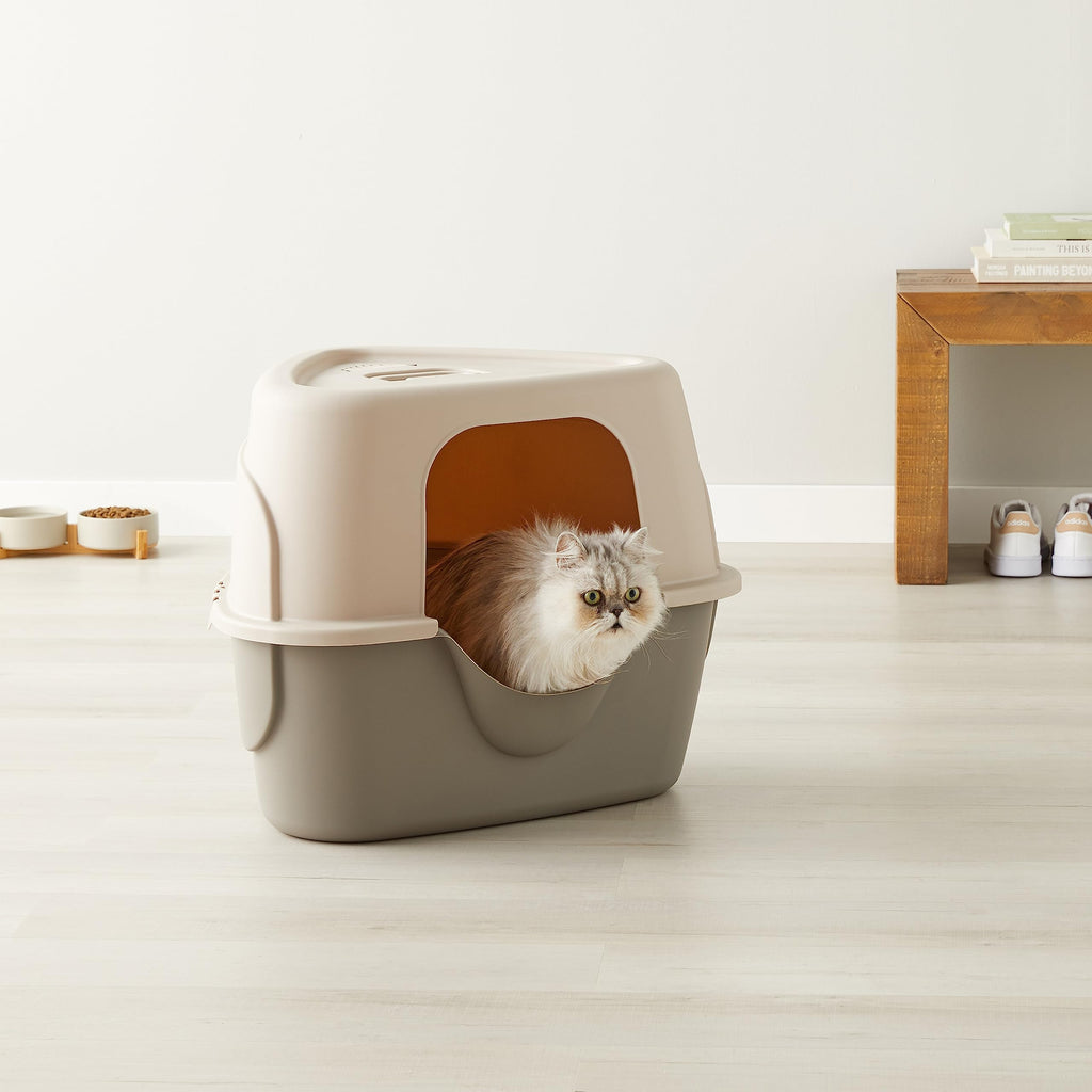 Charcoal Enclosed Cat Litter Box with Lid G2125