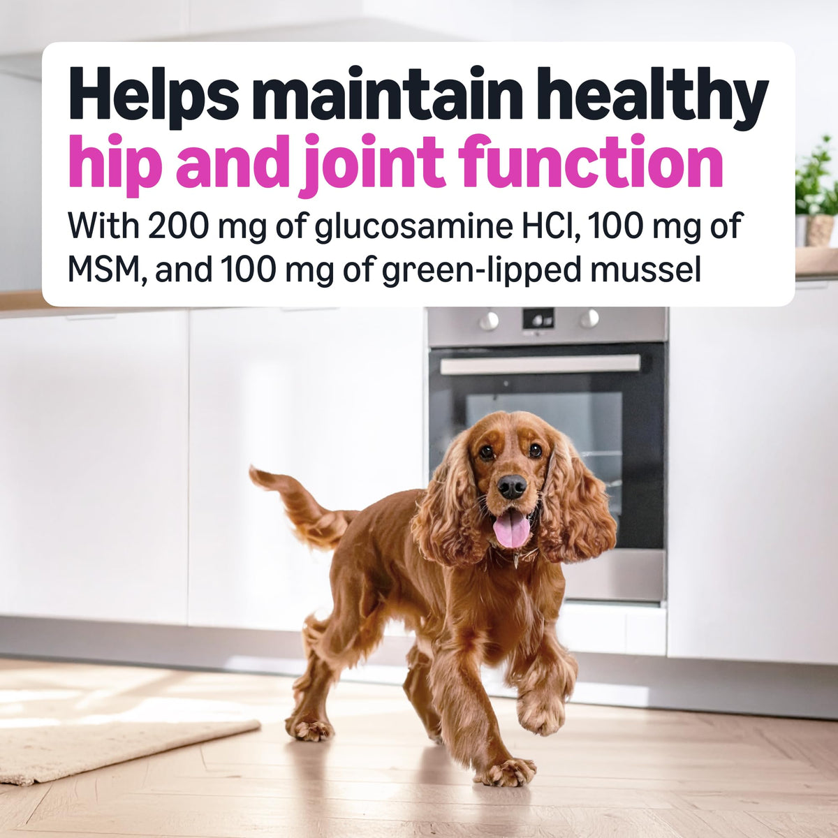 Dog Hip & Joint Supplement Chews with Glucosamine, MSM, Vitamin C, Duck Flavored, 120 Count C472
