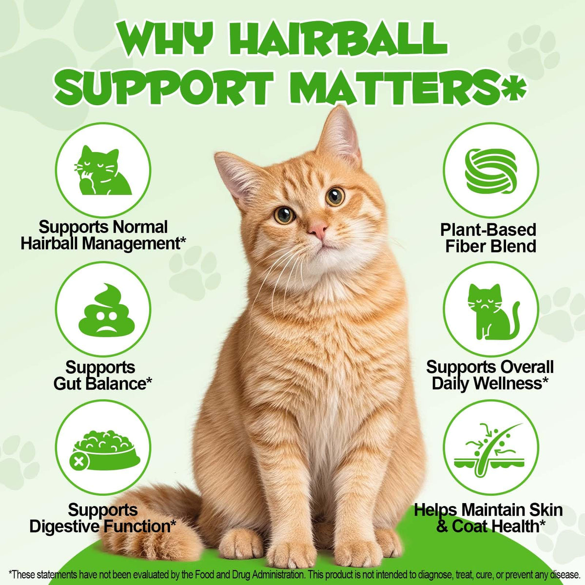 Cat Hairball Remedy Drops 2 fl oz W768