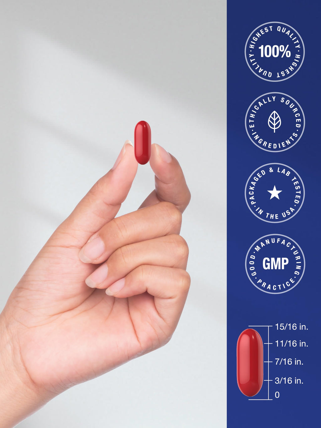 Memory Support Supplement 60 Softgels Z99931