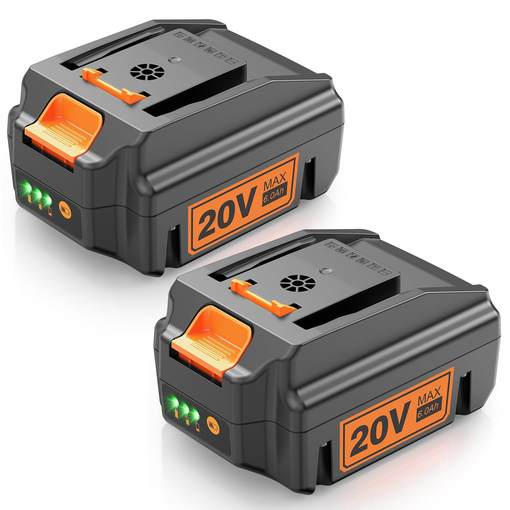 20V Lithium ion Battery 6.0Ah 2 Pack E587