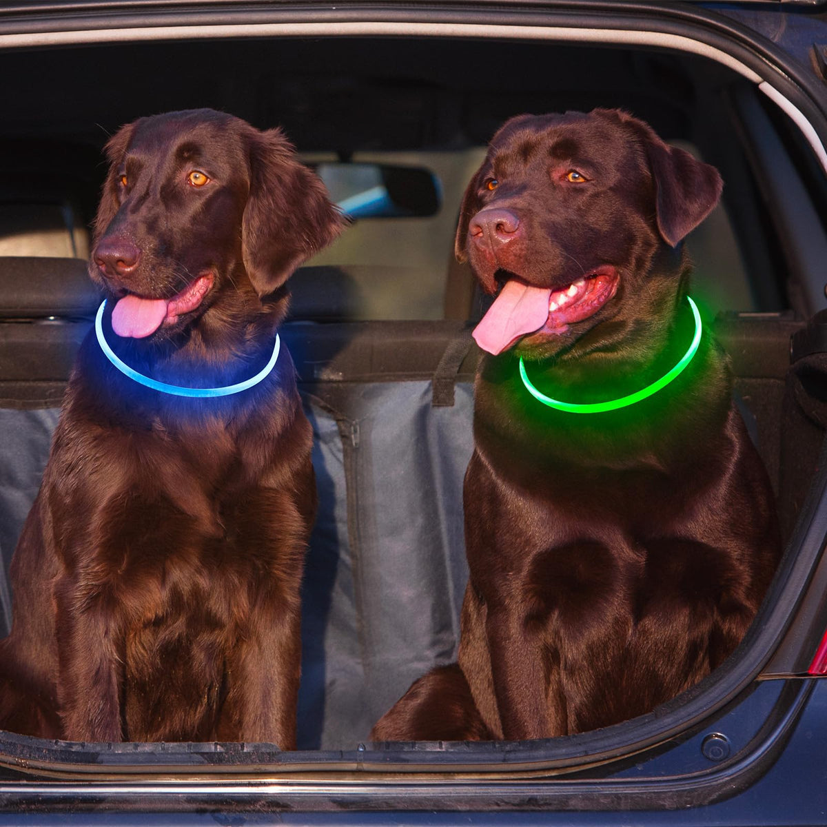 2 Packs Light Up Dog Collar U8289