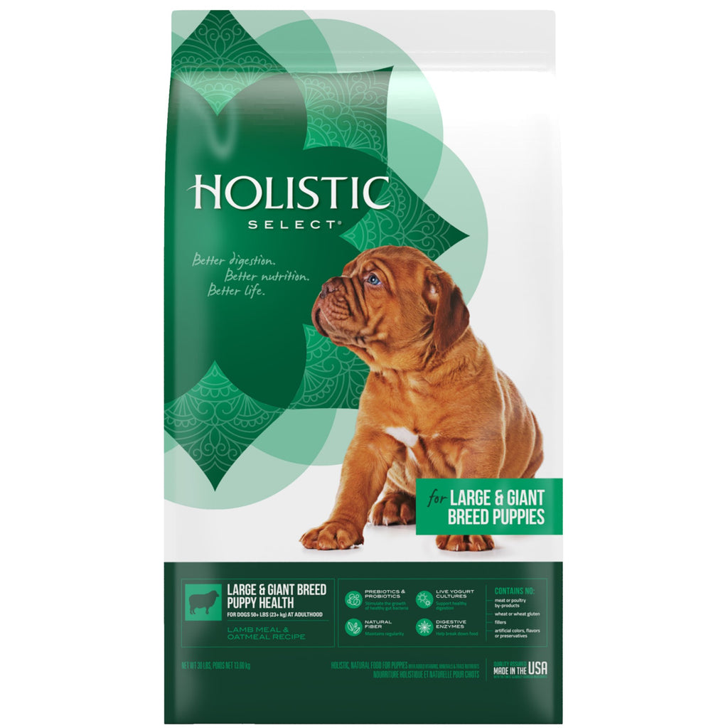 Natural Dry Dog Food Large Breed Puppy 30-Pound Bag C402