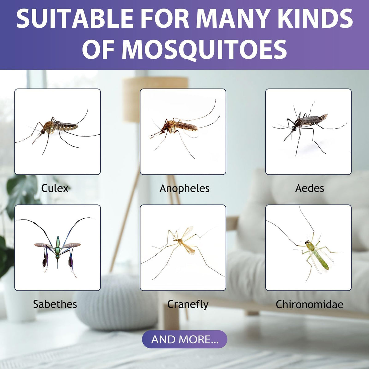 Mosquito Attractant Bait Refill N83064