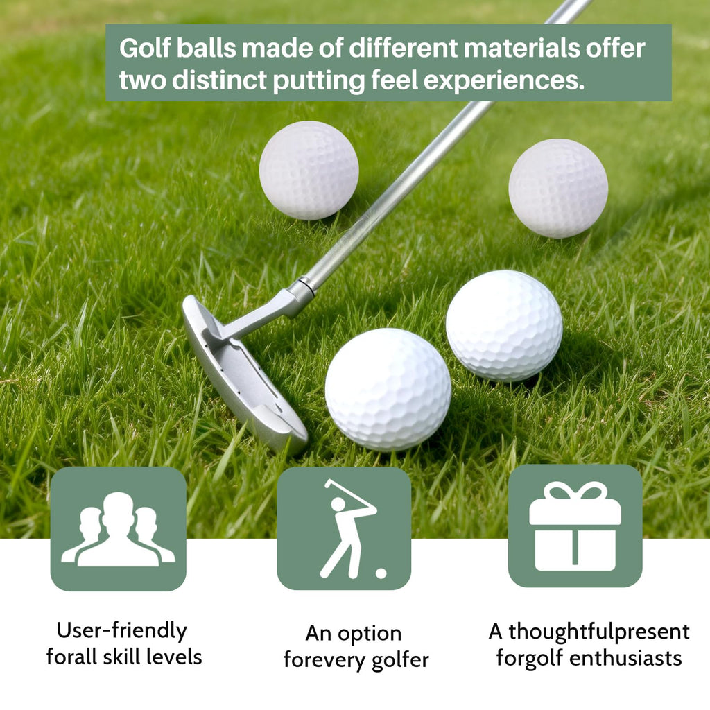 Two-Way Golf Putter with 2 Golf Balls T46103