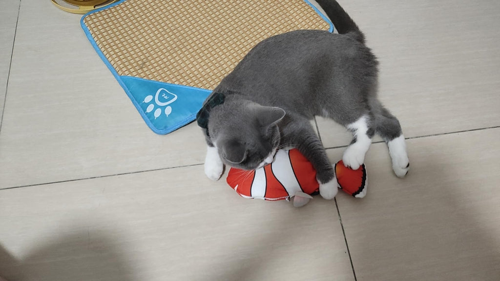 Organic Cat Grass Kit with Interactive Fish Toy Q7964