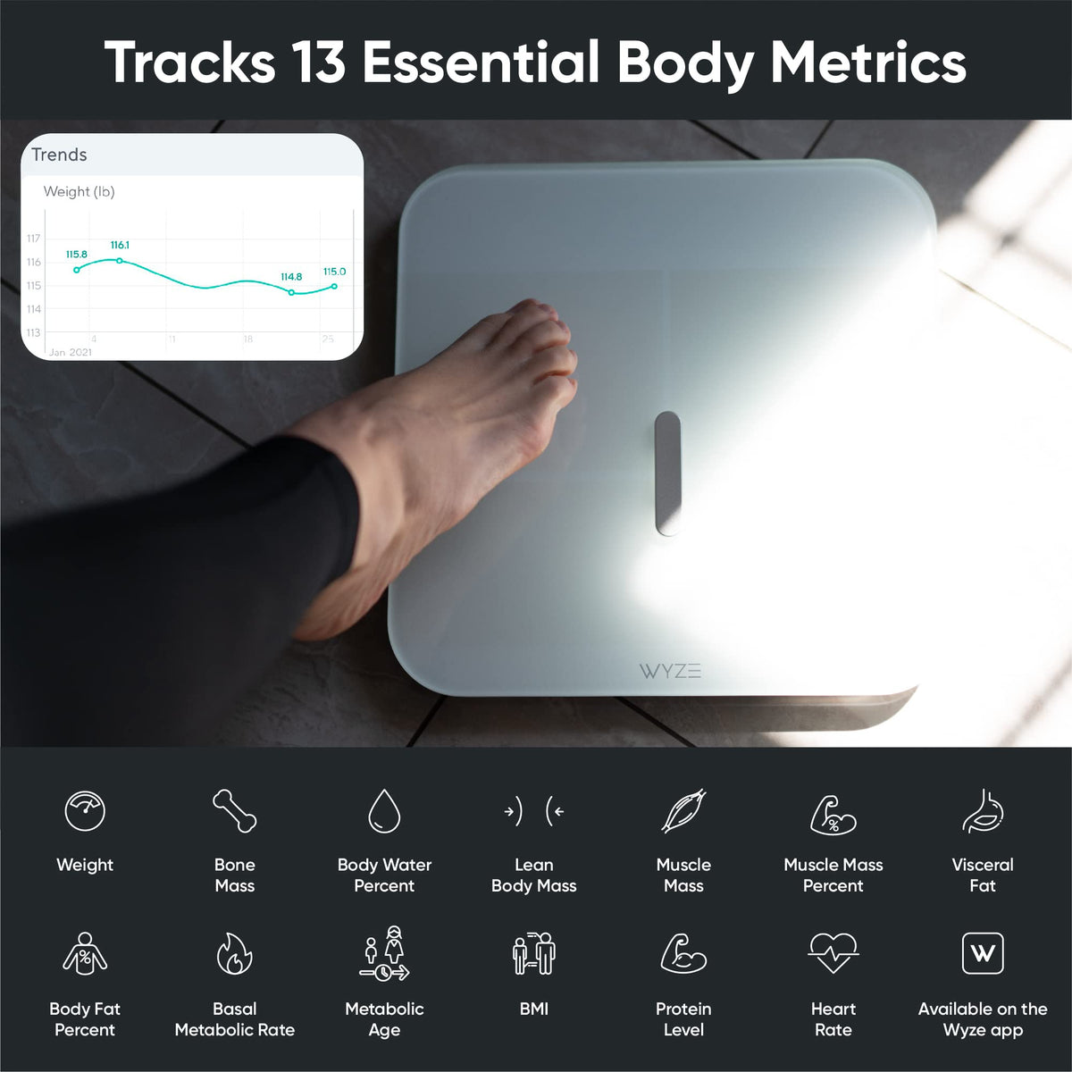 Smart Scale & 3 Pack Night Light C32381