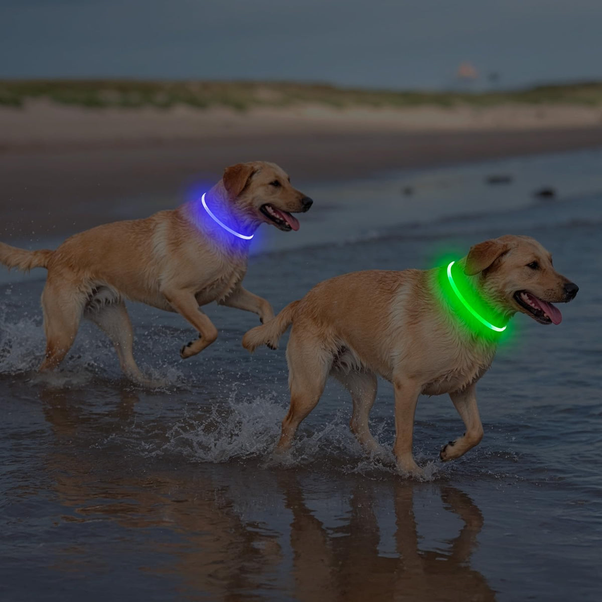 2 Packs Light Up Dog Collar U8289