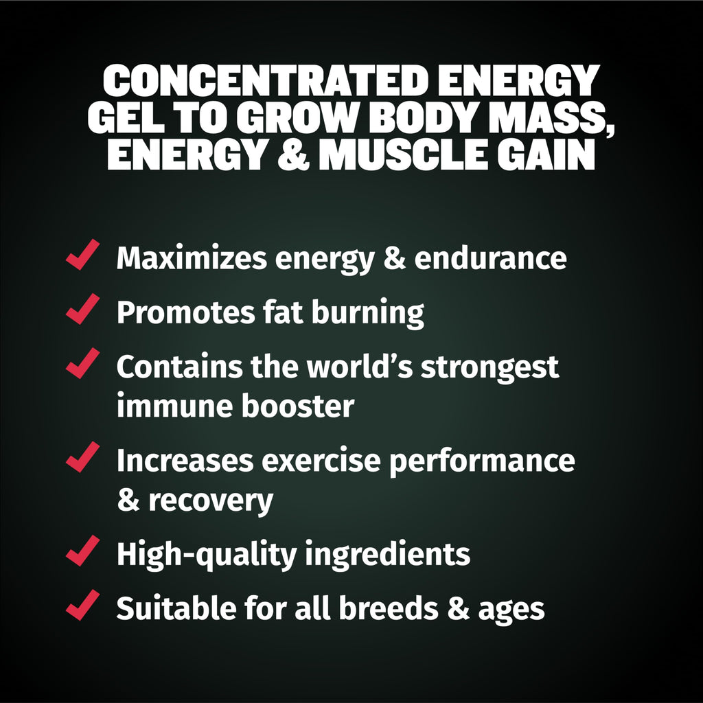 Dog Muscle & Weight Gain Liquid Bundle B86563