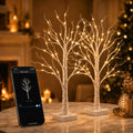Birch Tree with Lights 2FT 2Pack R22858