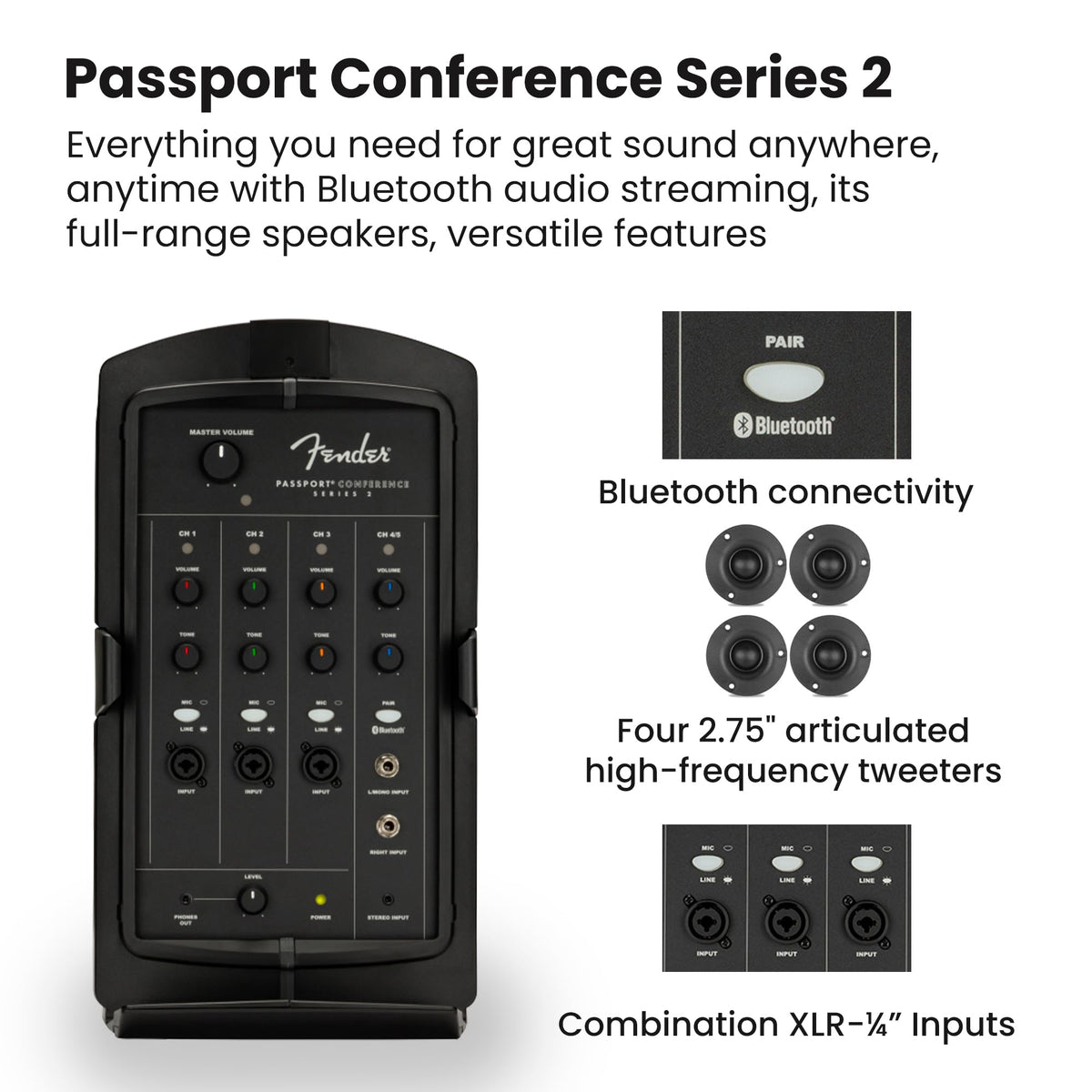 Portable PA System with Microphone Kit G273