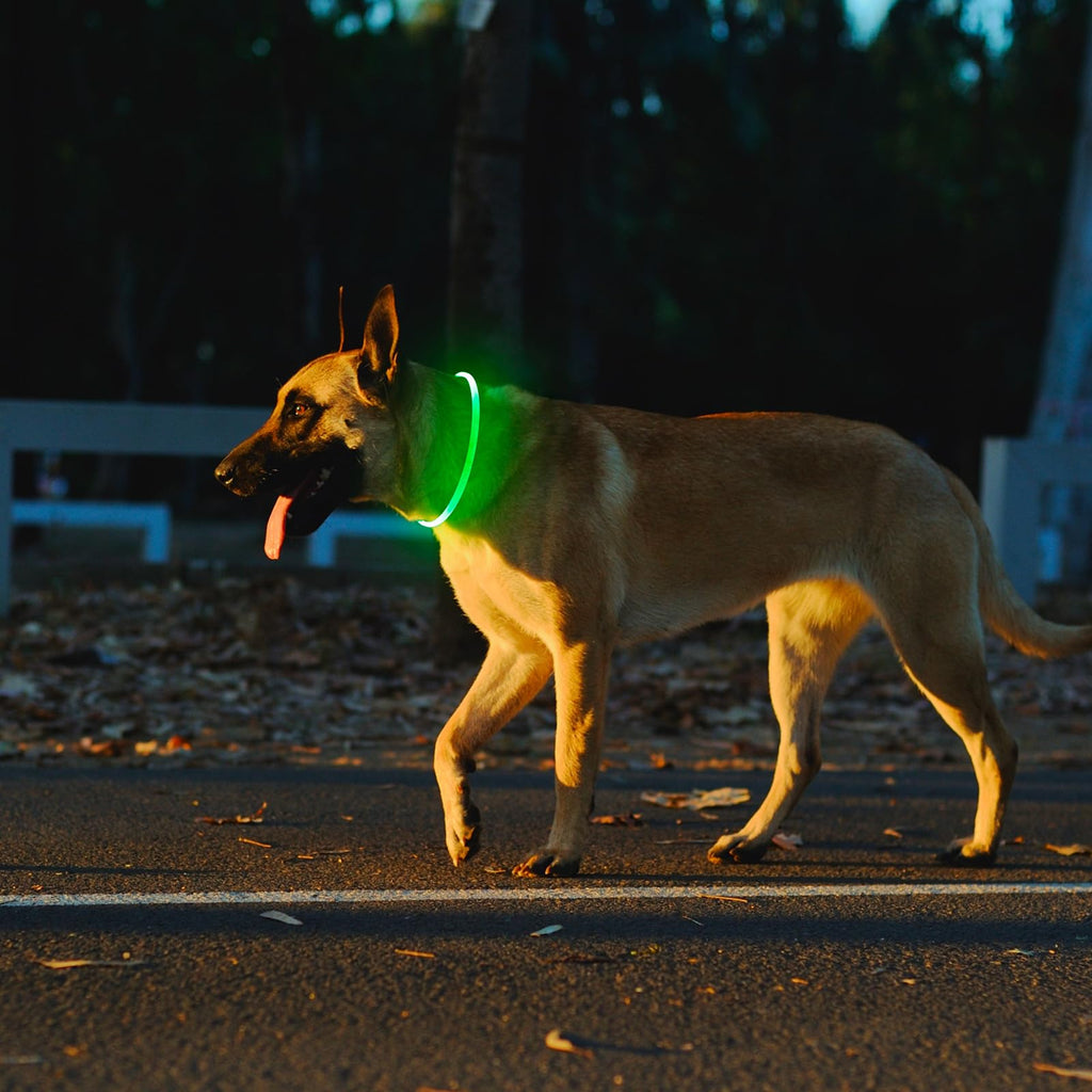 2 Packs Light Up Dog Collar U8289