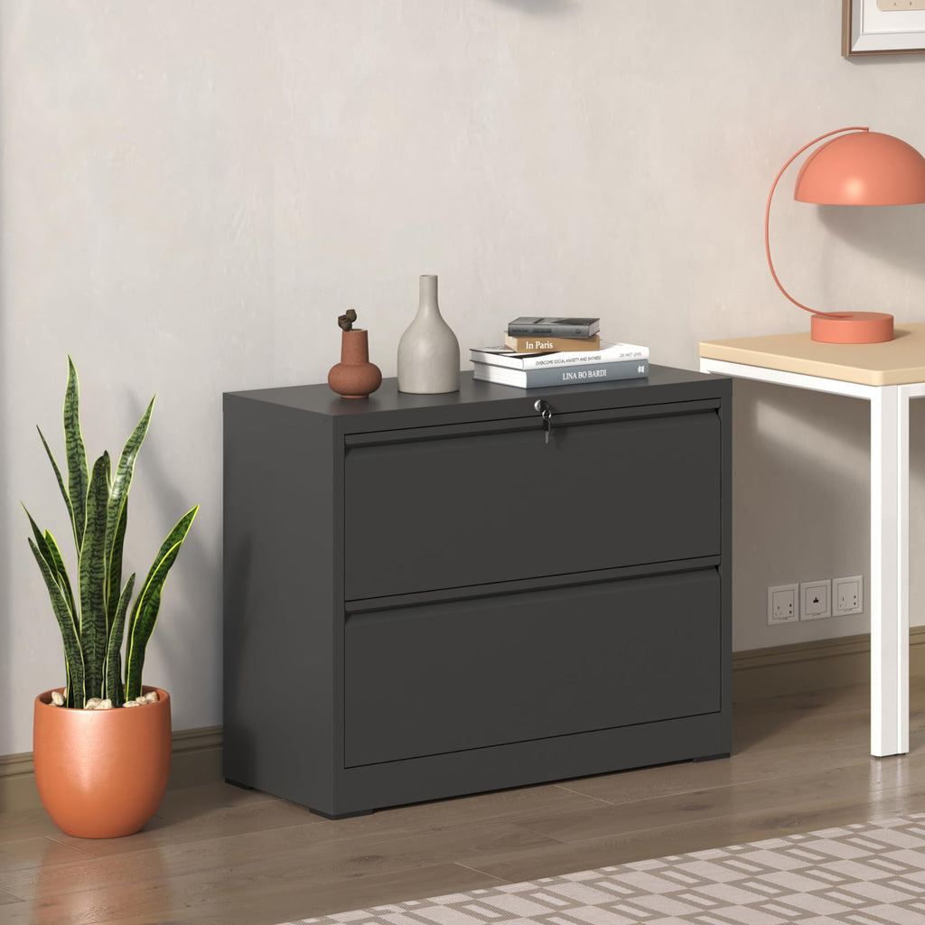 2 Drawer Black Metal File Cabinet with Lock D123