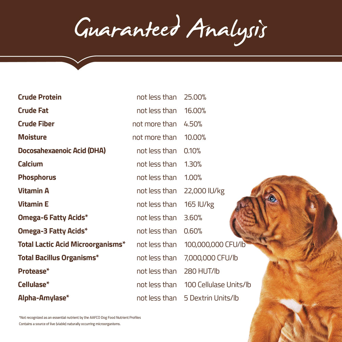 Natural Dry Dog Food Large Breed Puppy 30-Pound Bag C402