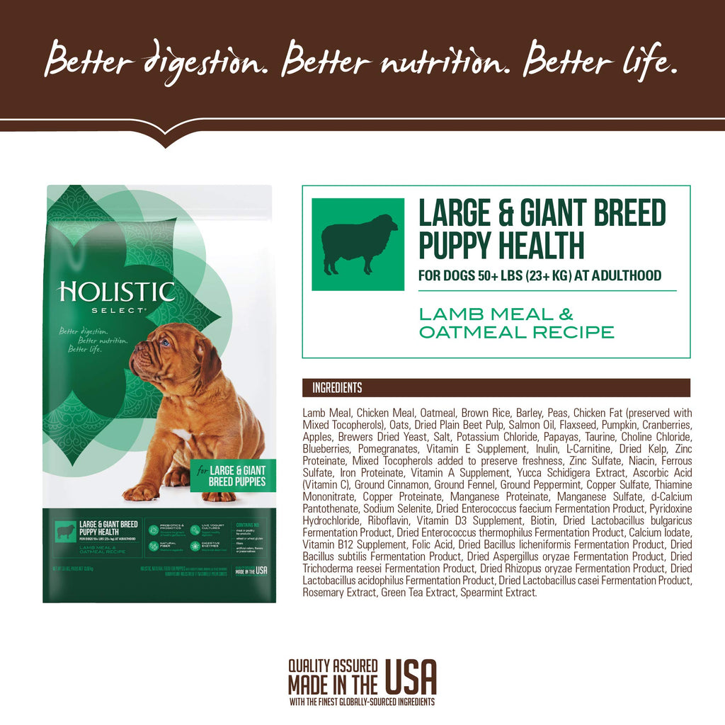 Natural Dry Dog Food Large Breed Puppy 30-Pound Bag C402