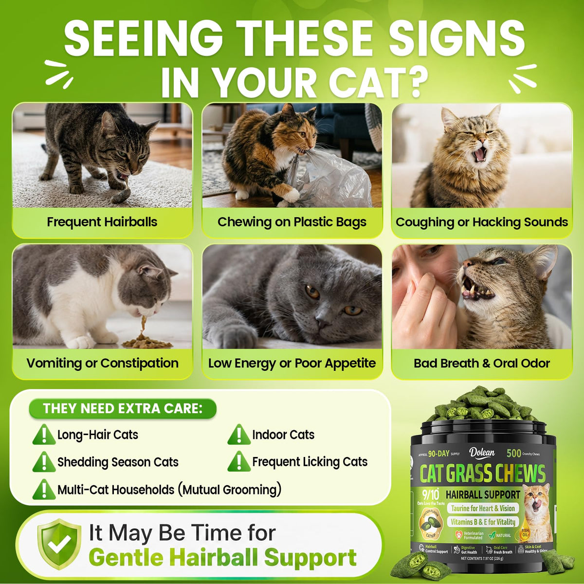 Cat Grass Treats Hairball Treatment for Cats R8547