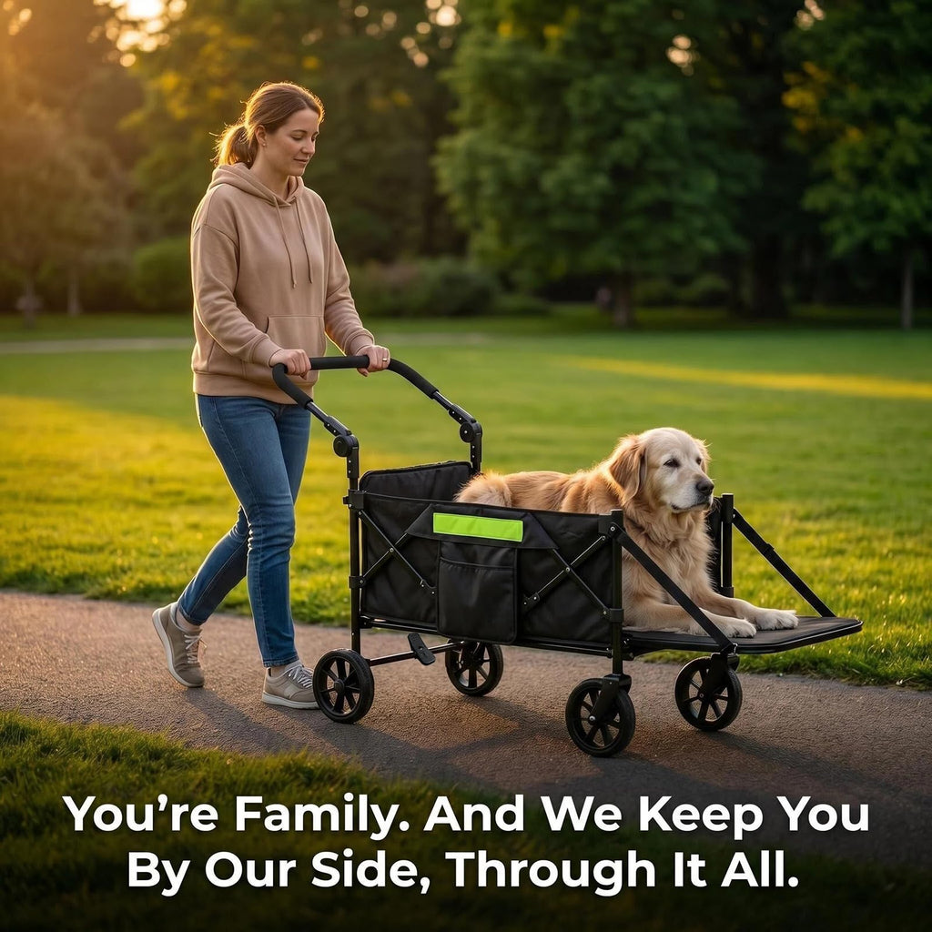 Dual-Entry Dog Wagon with Thick Mat & Lift Harness Y131528