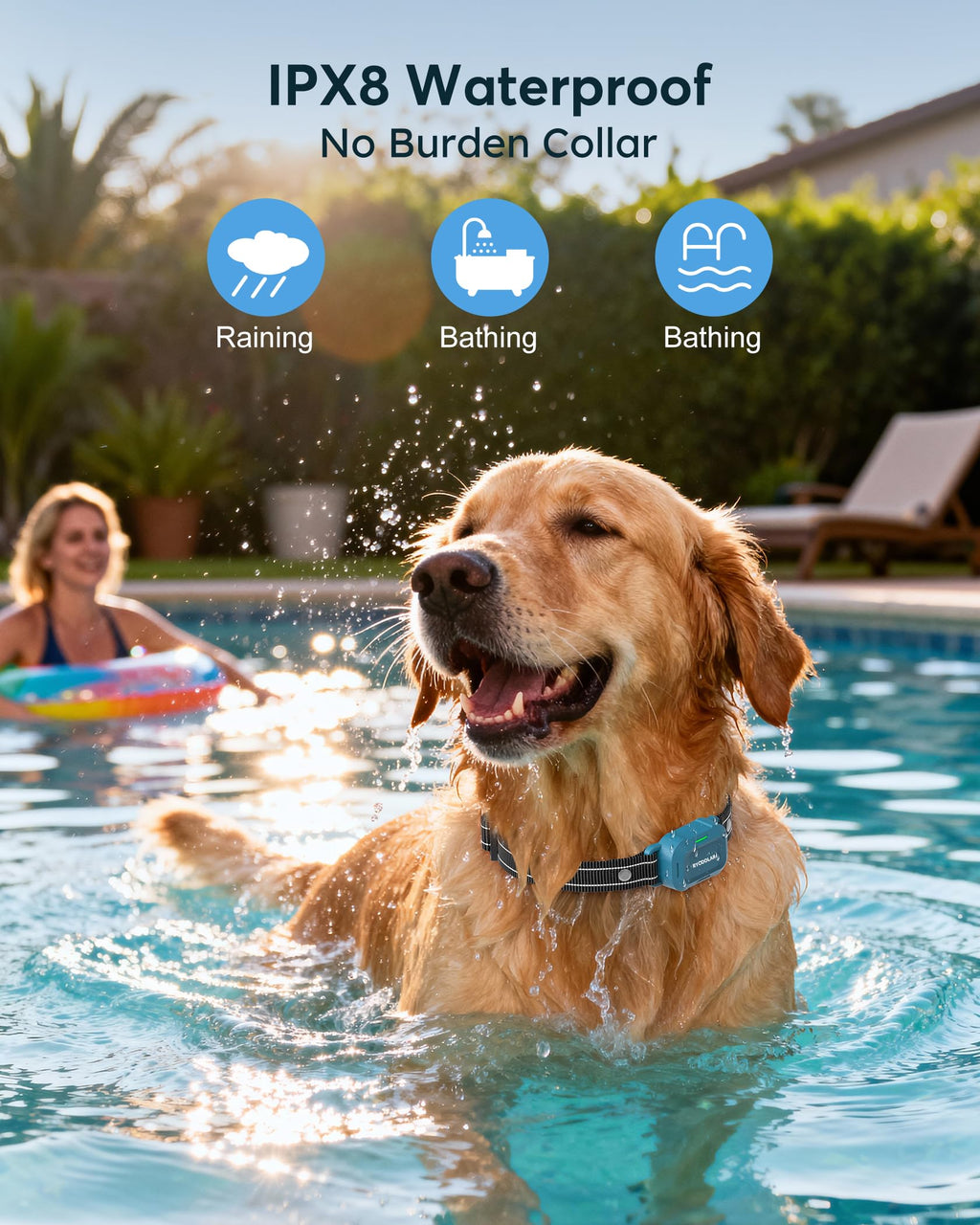 Dog Training Collar with Remote X43934