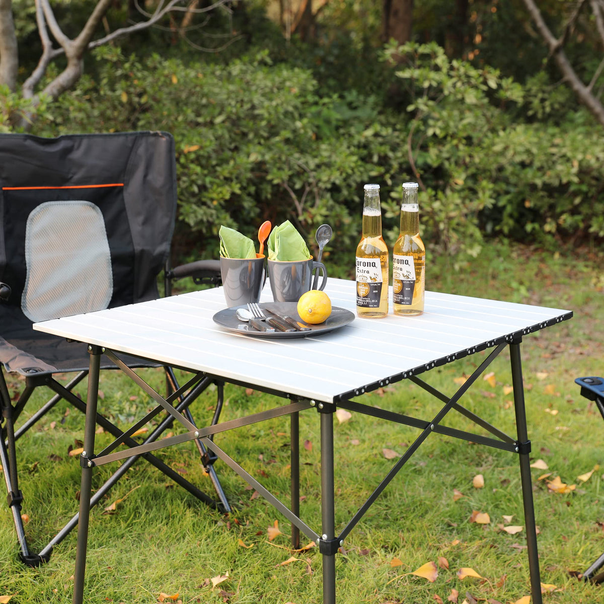 Lightweight Aluminum Folding Table Z2379