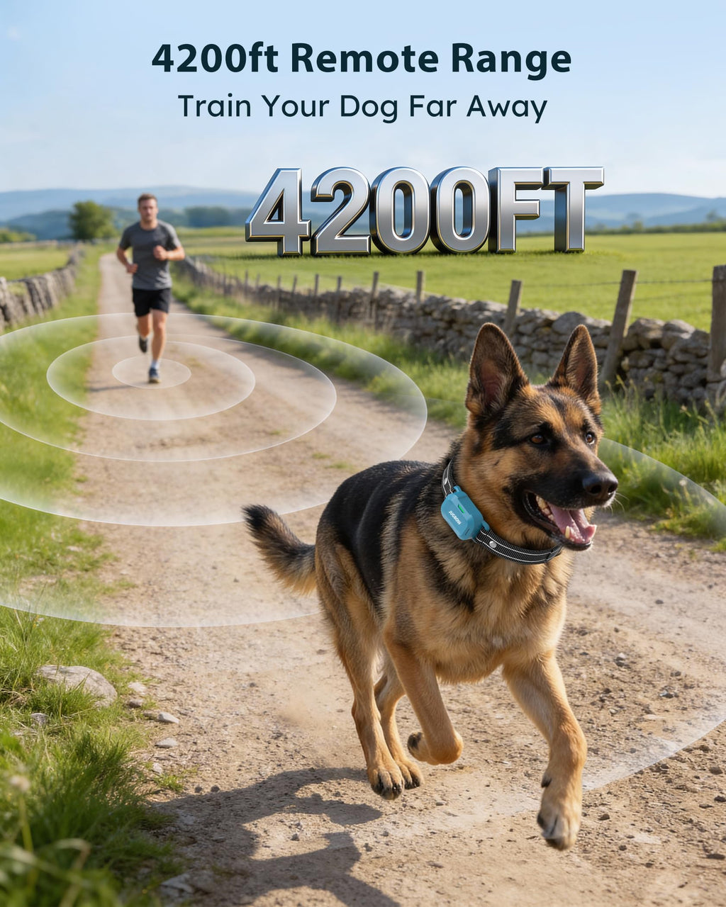 Dog Training Collar with Remote X43934