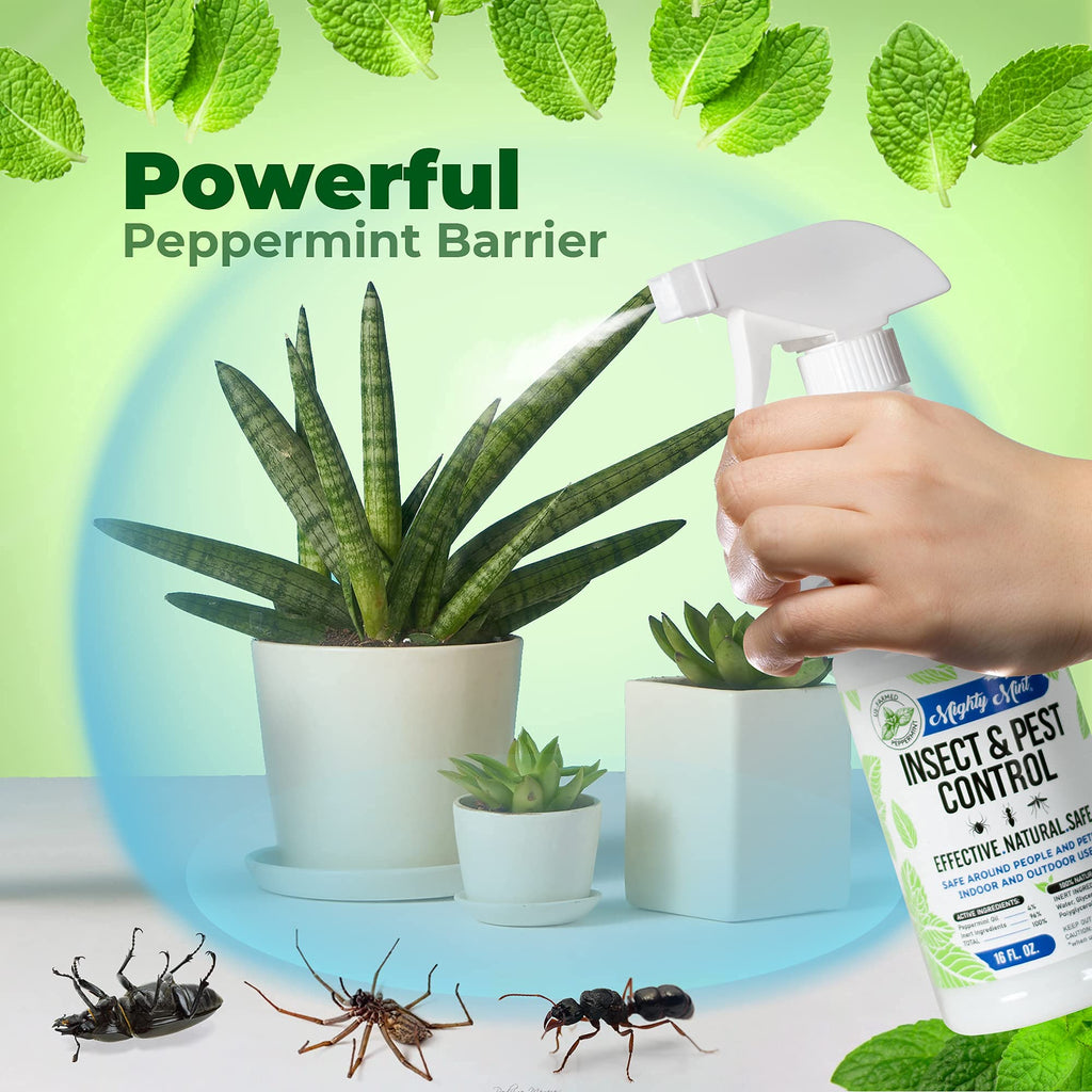 Peppermint Oil Insect Repellent Concentrate, 8 oz U319