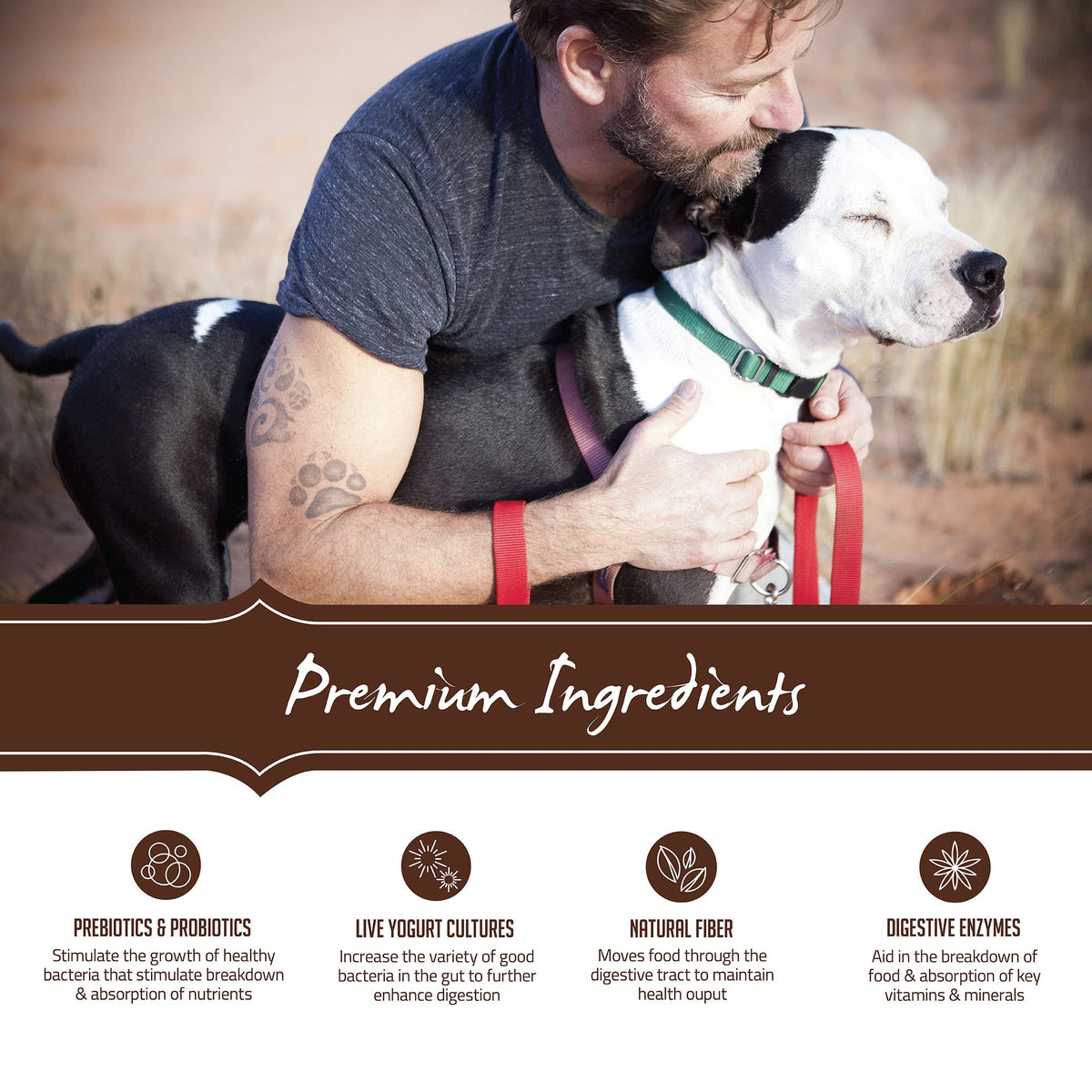 Natural Dry Dog Food Large Breed Puppy 30-Pound Bag C402