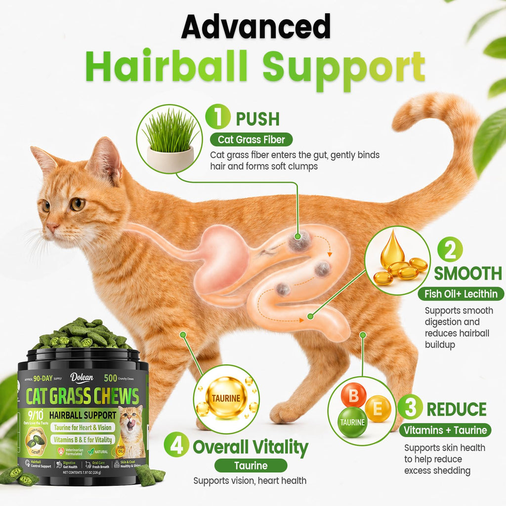 Cat Grass Treats Hairball Treatment for Cats R8547