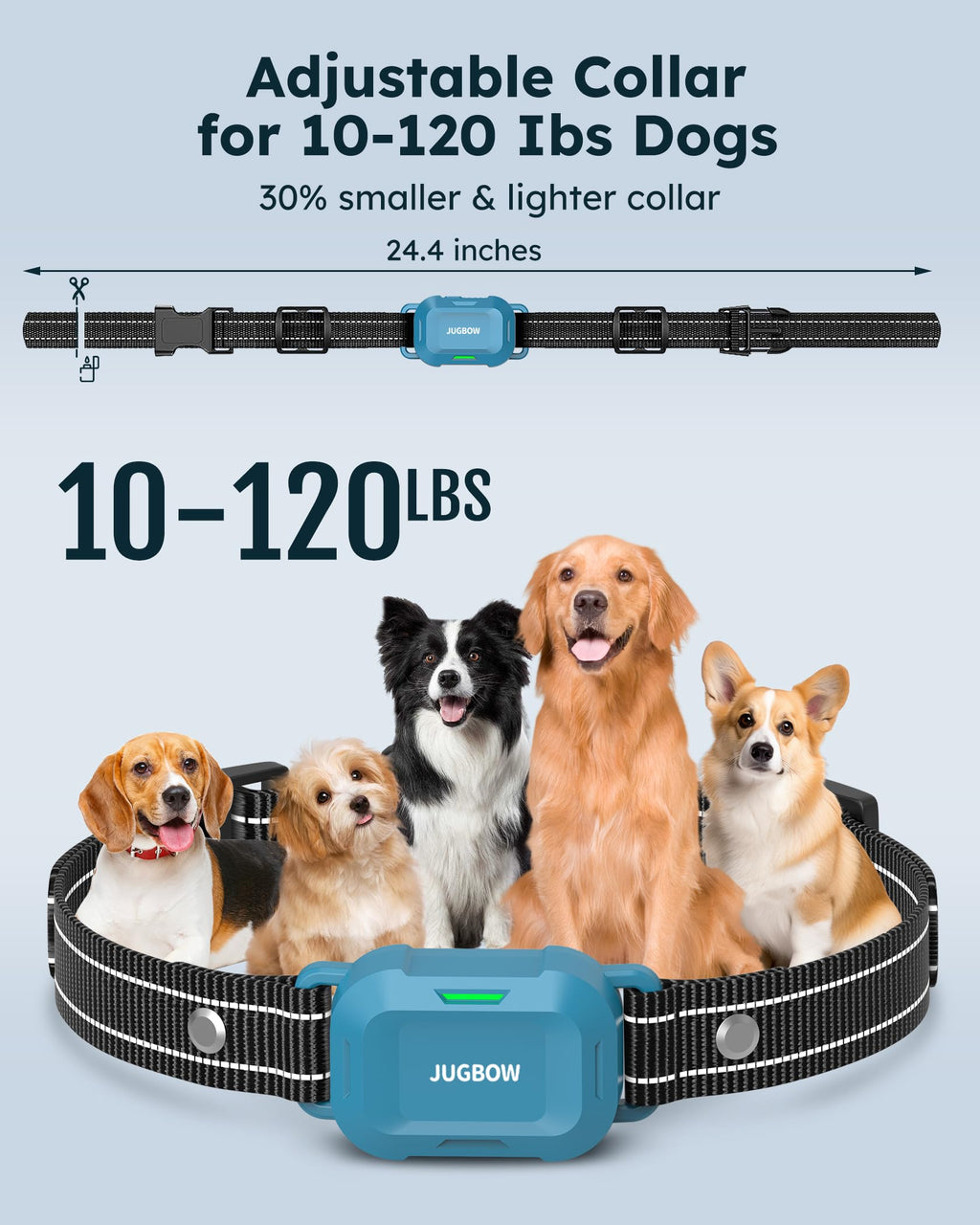 Dog Training Collar with Remote X43934
