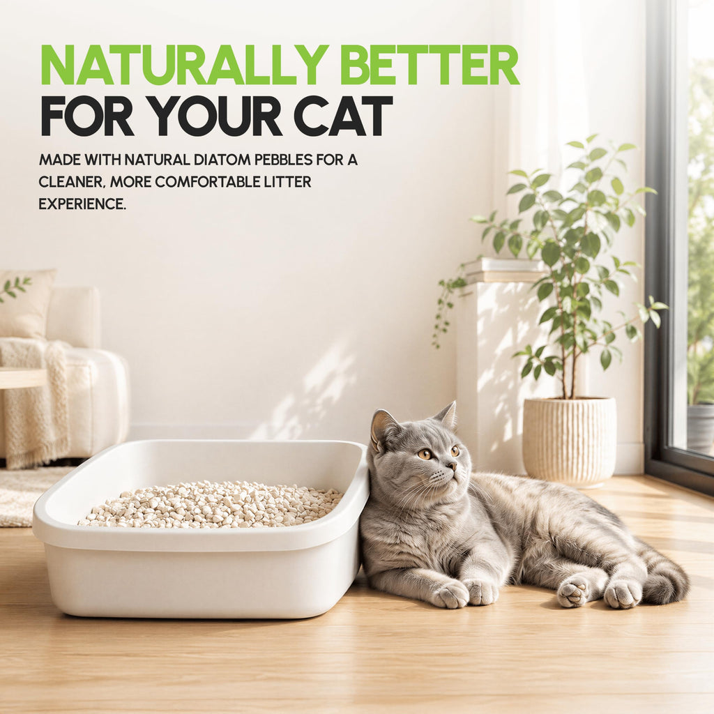 All Natural Unscented Cat Litter, 8 lbs K290859