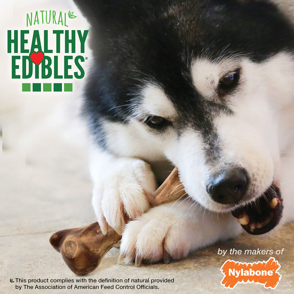 Large Ham Flavor Dog Treats W126458