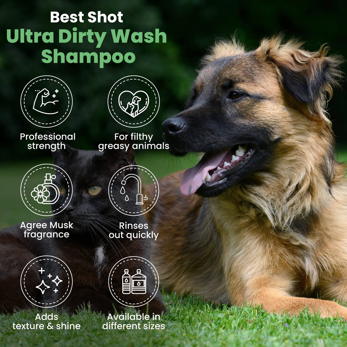 Soap-Free Quick-Rinsing Dog and Cat Shampoo 1 Gallon D817