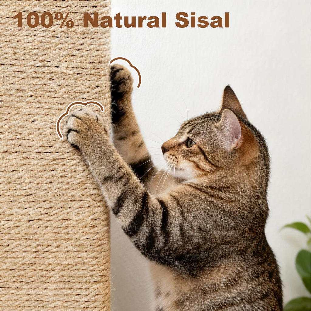 Tall Cat Scratching Post with Carpet F230756
